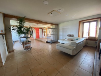 Maison Briarde A VENDRE - JOUY LE CHATEL - 218,1 m2 - 299000 €
