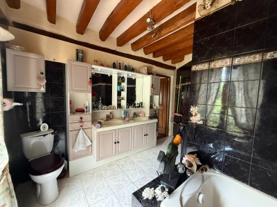 Maison Briarde Rurale A VENDRE - BERNAY VILBERT Centre du village - 200 m2 - 480�000�&euro;