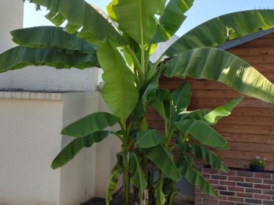 MAISON A VENDRE - CHENOISE - 153.15 m2 - 279 000 €