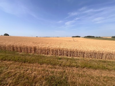 MAISON A VENDRE - CLOS FONTAINE - 145 m2 - 325 000 &euro;
