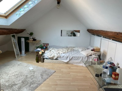 Maison briarde rural A VENDRE - COURPALAY - 150 m2 - 233000 €