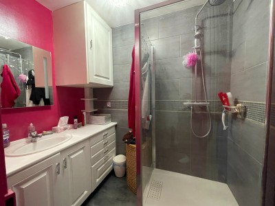 Maison briarde A VENDRE - ROZAY EN BRIE - 209 m2 - 436000 €