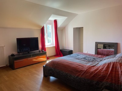 BRIARDE A VENDRE - ROZAY EN BRIE - 195 m2 - 385000 €