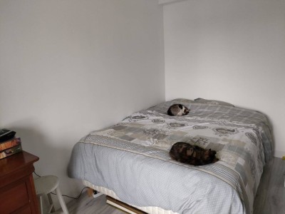 MAISON A VENDRE - ROZAY EN BRIE - 130 m2 - 399900€