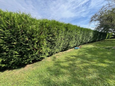 Terrain constructible plat Jouy le Chatel 45.91m de faade
