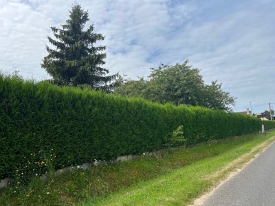 Terrain constructible plat Jouy le Chatel 45.91m de faade