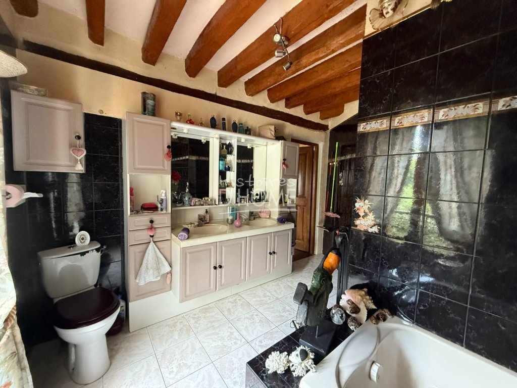 Maison Briarde Rurale A VENDRE - BERNAY VILBERT Centre du village - 200 m2 - 480�000�&euro;