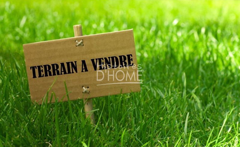 TERRAIN A VENDRE - VILLIERS ST GEORGES - 695 m2 - 59 900 €